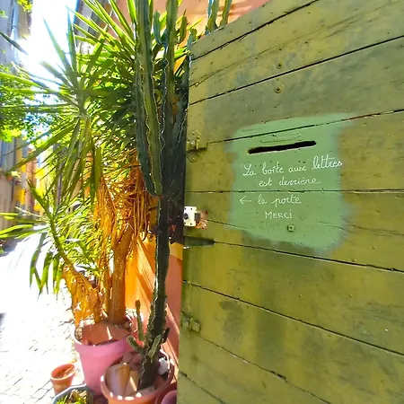 Duplex Atypique Centre Historique Daire